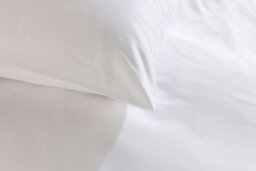 Rackhams 4 Star Classic Pillowcase - Pair - White - Standard - thumbnail 3