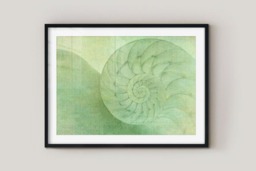 Rackhams Oceanic - Framed Print 30 x 20 inch - thumbnail 2