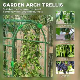 Rackhams 183 cm Tall Metal Garden Trellis, Arch Trellis for Climbing Plants Outdoor with Climbing Net - thumbnail 3
