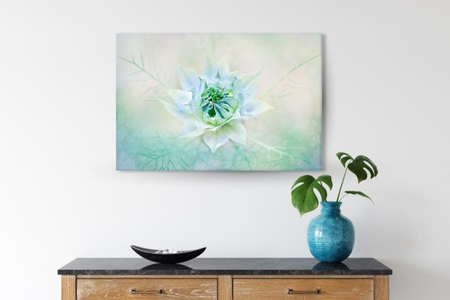 Rackhams Love in a Mist II - Framed Print 30 x 20 inch - image 1