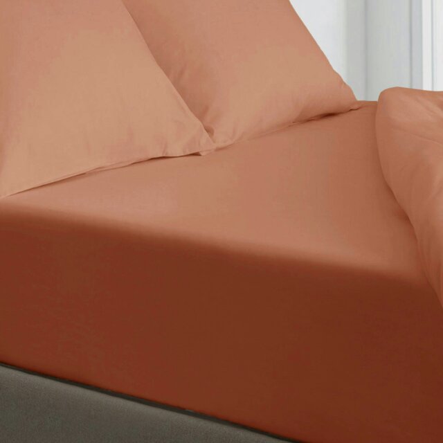 Rackhams Microfibre Easy Care Fitted Sheet - Orange - Double - image 1