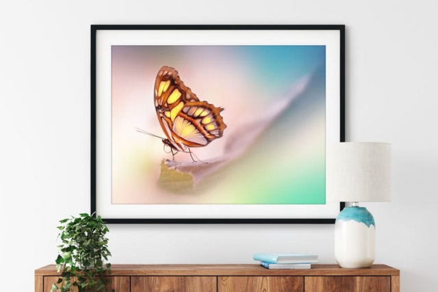 Rackhams Malachite Butterfly - Framed Print 30 x 20 inch - image 1