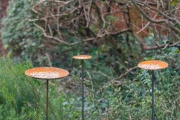 Rackhams Complete Bird Feeder Bundle - thumbnail 1
