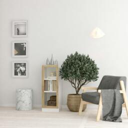 Rackhams Basic Low Narrow Display Cabinet in White (2 Shelves) with Glass Oak Door - Matt - Oak & White  - W 40.6 X  H 107.2 X  D 26.7cm