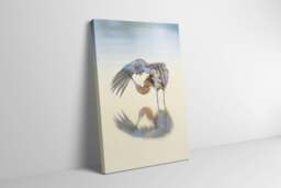 Rackhams Reddish Egret at Dawn - Framed Print 20 x 16 inch - thumbnail 2