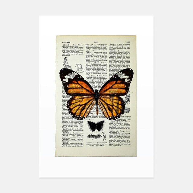 Rackhams Monarch Butterfly Vintage Book Page Art Print - No frame - image 1