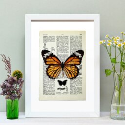 Rackhams Monarch Butterfly Vintage Book Page Art Print - No frame - thumbnail 2