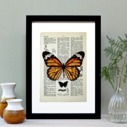 Rackhams Monarch Butterfly Vintage Book Page Art Print - No frame - thumbnail 3