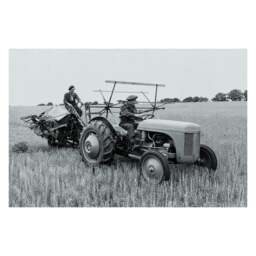 Rackhams Ferguson TE20 Tractor and Binder Canvas Picture Print, Circa 1947 Black and White, 60 x 40 cm, Stretched Canvas on Wooden Frame - thumbnail 1