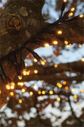 Rackhams Cluster Lights Black Rubber IP65 5m/250 LED Copper Gold