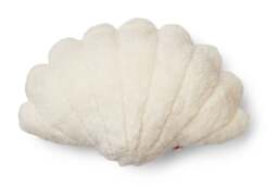 Rackhams Shell Cushion - Small - Medium - Large - Ivory - 42x58 cm - thumbnail 1