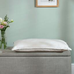 Rackhams Silk Pillows - Medium/Firm - Standard - Single - thumbnail 1