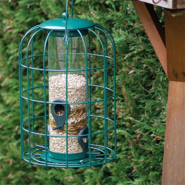 Rackhams Squirrel Resistant Bird Feeder - image 1