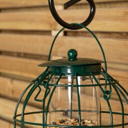 Rackhams Pack of 4 Wild Bird Seed Feeder Cage with Squirrel Guard - thumbnail 6