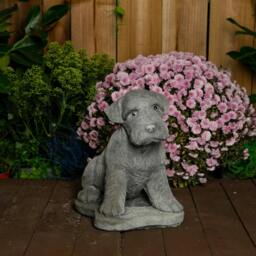 Rackhams Large Schnauzer Stone Dog garden ornament - thumbnail 4