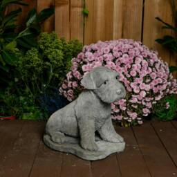 Rackhams Large Schnauzer Stone Dog garden ornament - thumbnail 6