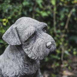 Rackhams Large Schnauzer Stone Dog garden ornament - thumbnail 3