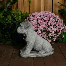 Rackhams Large Schnauzer Stone Dog garden ornament - thumbnail 5