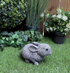 Rackhams Adorable Small Rabbit Garden Ornament - thumbnail 6