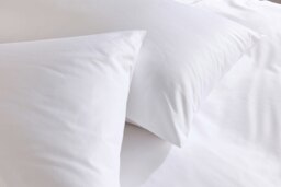 Rackhams 5 Star Classic Pillowcase - Pair - White - Standard - thumbnail 4
