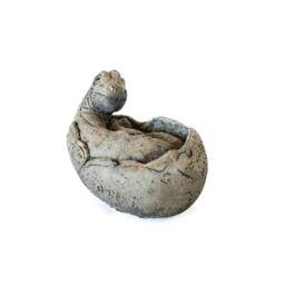 Rackhams Small Brontosaurus Stone Cast Garden Sculpture Dinosaur Animal Statue - thumbnail 4