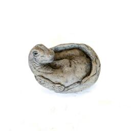 Rackhams Small Brontosaurus Stone Cast Garden Sculpture Dinosaur Animal Statue - thumbnail 5