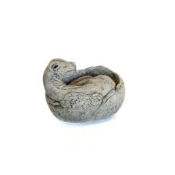 Rackhams Small Brontosaurus Stone Cast Garden Sculpture Dinosaur Animal Statue - thumbnail 3