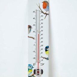 Rackhams Outdoor Thermometer with Bird Design - thumbnail 2