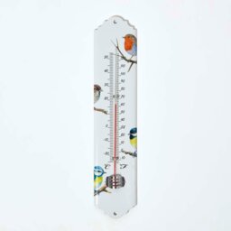 Rackhams Outdoor Thermometer with Bird Design - thumbnail 1
