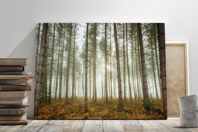 Rackhams Woodland Fog - Framed Print 30 x 20 inch - image 1