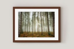 Rackhams Woodland Fog - Framed Print 30 x 20 inch - thumbnail 3