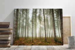 Rackhams Woodland Fog - Framed Print 30 x 20 inch