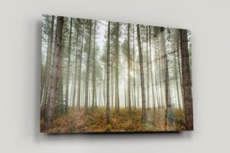 Rackhams Woodland Fog - Framed Print 30 x 20 inch - thumbnail 2