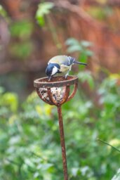 Rackhams Fat Ball Bird Feeder Stake - thumbnail 3