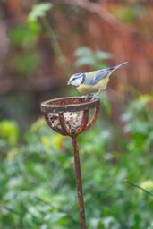 Rackhams Fat Ball Bird Feeder Stake - thumbnail 5