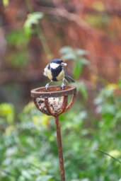 Rackhams Fat Ball Bird Feeder Stake - thumbnail 4