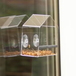 Rackhams Transparent Bird Feeder - thumbnail 2