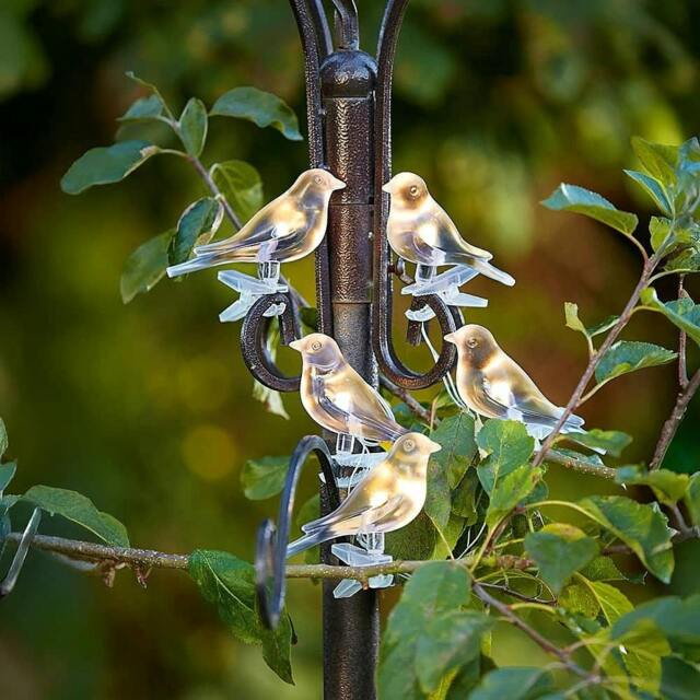 Rackhams Bird Lights, Solar LED, Set of Five Clip-On Garden Decor