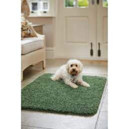 Rackhams Washable Forest Green Shaggy Rug - 67X300 cm - thumbnail 5