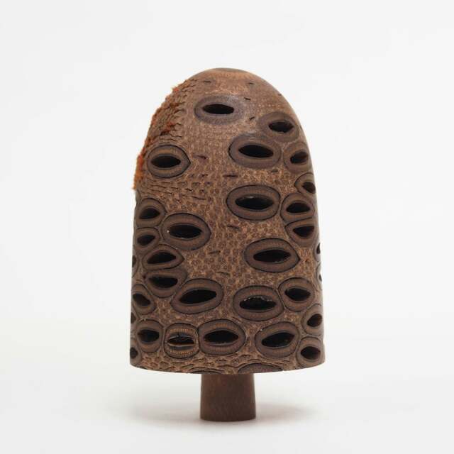 Rackhams Handmade Wooden Hairy Banksia Nut Ornament - image 1