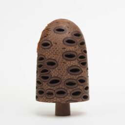 Rackhams Handmade Wooden Hairy Banksia Nut Ornament