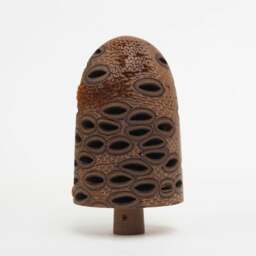 Rackhams Handmade Wooden Hairy Banksia Nut Ornament - thumbnail 3