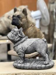 Rackhams Pilot Frenchie Stone Statue Detailed Garden Ornament - thumbnail 5