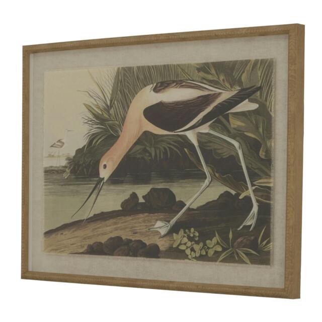 Rackhams Flora & Fauna Collection Avocet Linen Framed Wall Art - Multicoloured - Multicoloured - 45cm x 2cm x 62cm - Multicoloured - image 1