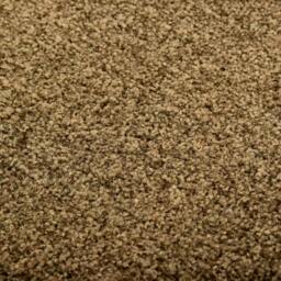 Rackhams Doormat Washable Brown 60x90 cm - thumbnail 4