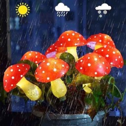 Rackhams Outdoor Solar-Powered Glowing Mushroom Lightsroom Lights - 8LEDs - thumbnail 4