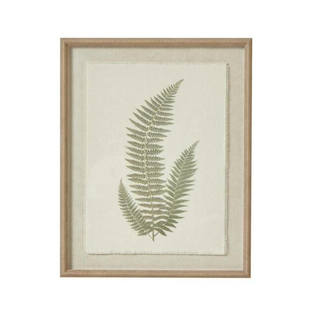 Rackhams Textured Fern Texture Torn Paper Framed Art Print - White/Grey/Green - One Size - White/Grey/Green - image 1