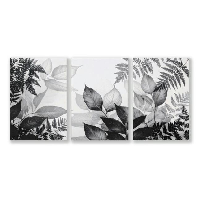 Rackhams Botanical Wall Art - Set of 3 Botanical Wall art Prints - 16 x 22 inches / 40.65 cm x 56 cm - Polyester Canvas 260 gsm - Canvas wrapped - image 1