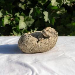 Rackhams Small Stone Cast Tyrannosaurus Garden Sculpture Dinosaur Animal Statue - thumbnail 4