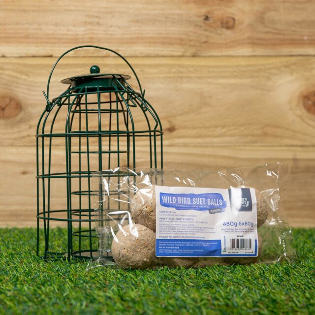 Rackhams Metal Hanging Bird Fat Ball Feeder with Squirrel Guard & Pack of 6 Suet Fat Balls - image 1